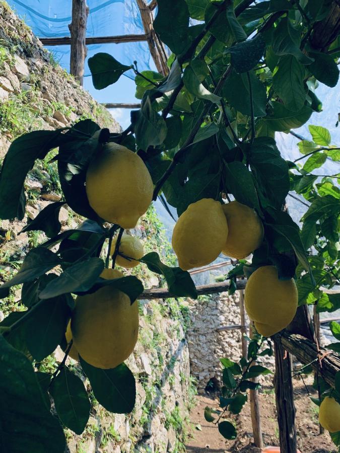 Il Giardino Dorato Maiori Exterior foto